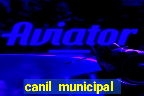 canil municipal porto alegre